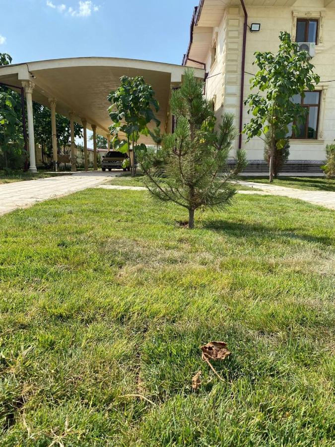 Green Apple Guest House طشقند المظهر الخارجي الصورة